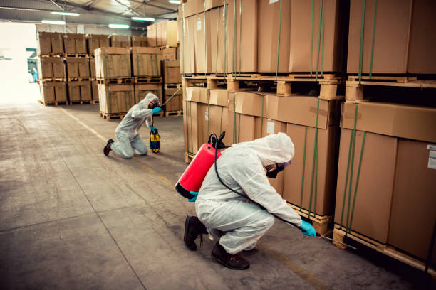Best Wasp Removal Services  in West Liberty, WV