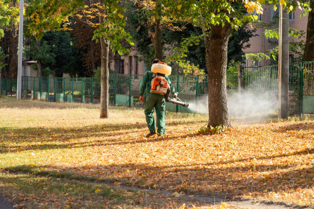 Best Best Pest Control Companies  in West Liberty, WV