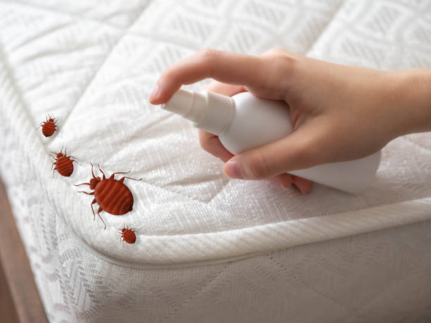 Best Ant Control Services  in West Liberty, WV