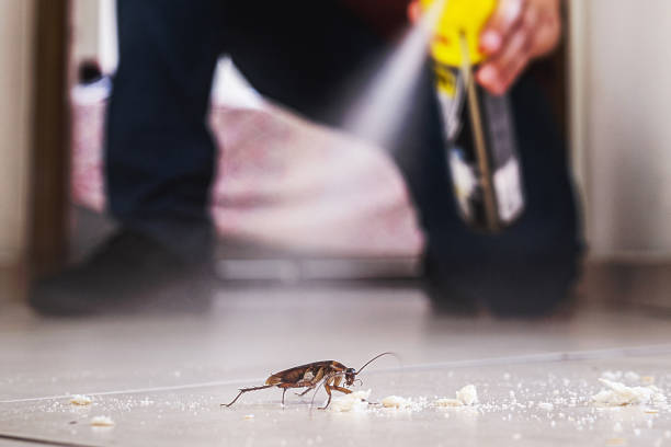 Best Pest Inspection Near Me  in West Liberty, WV